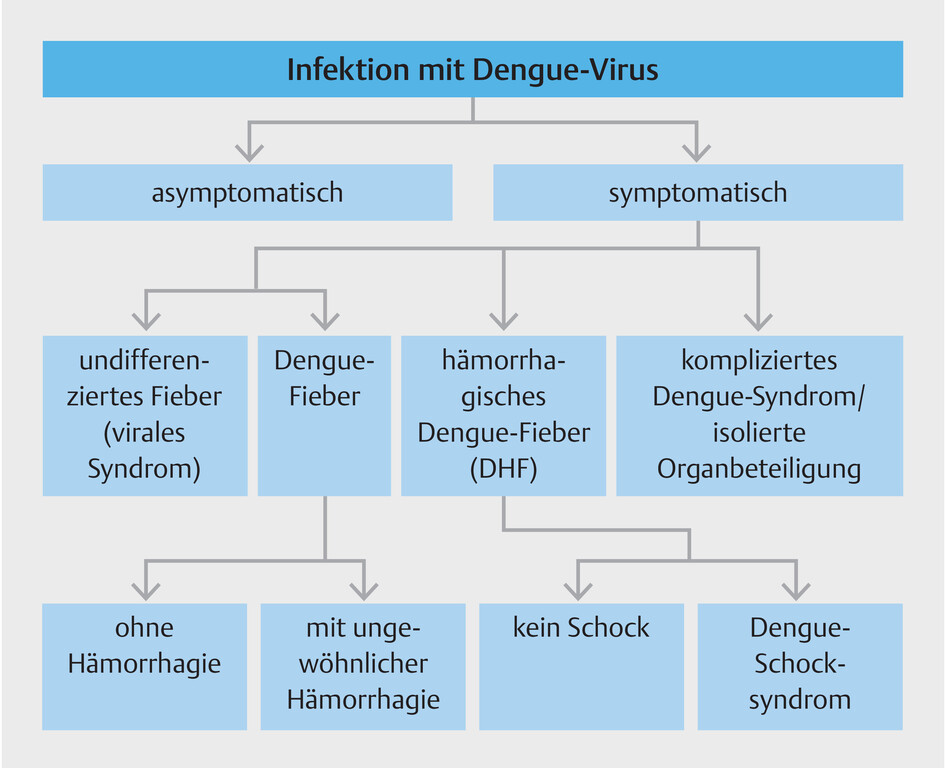 Quelle: Jelinek T. Dengue-Fieber. Reisemedizin up2date 2024; 01(01): 17 - 31. doi:10.1055/a-2176-0823