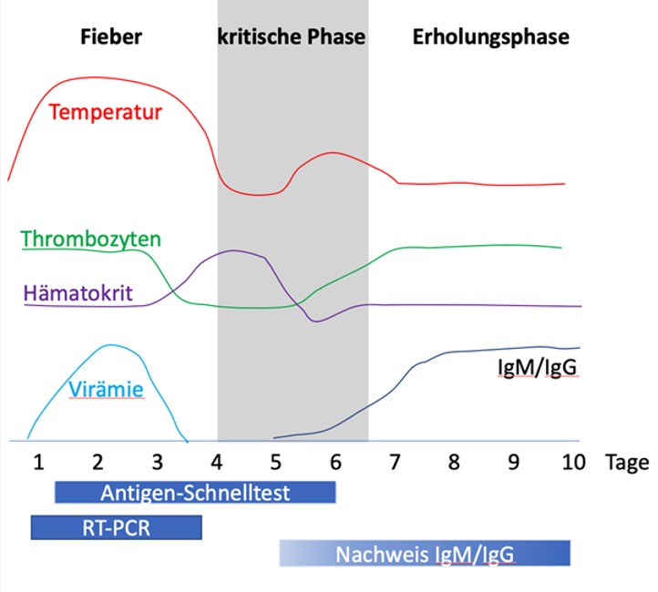 Quelle: Jelinek T. Dengue-Fieber. Reisemedizin up2date 2024; 01(01): 17 - 31. doi:10.1055/a-2176-0823