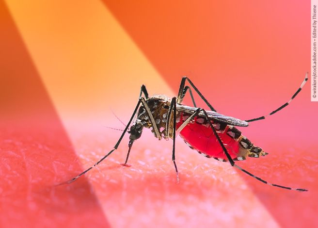 Spotlight_Dengue_Takeda_656x470 4zevar/stock.adobe.com